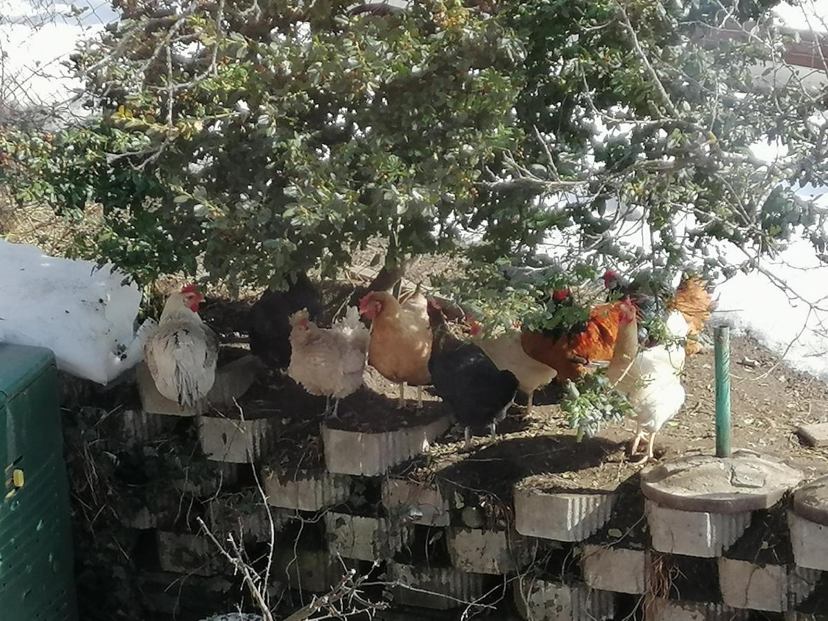 Fewo Fabiella Mit Balkon มิลชตัทท์ ภายนอก รูปภาพ